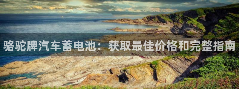 优发国际平台g8
