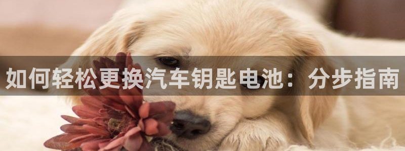 优发国际手机版客户端下载