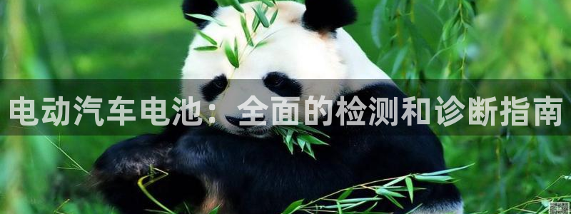 优发国际网站178