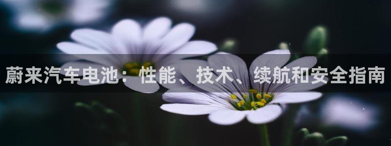 优发国际官网下载安装app