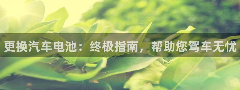 优发国际是什么