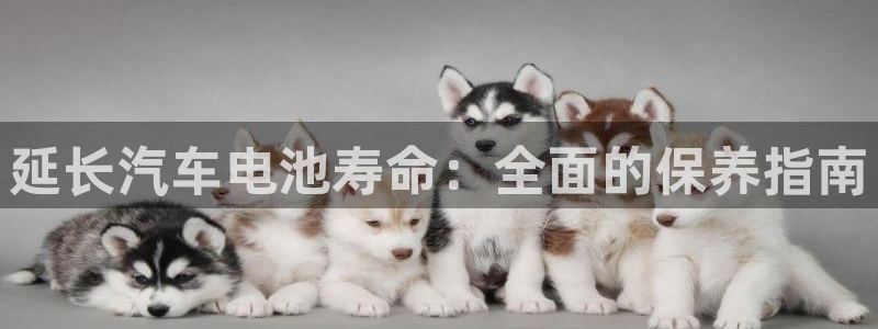 优发国际客服联系方式电话