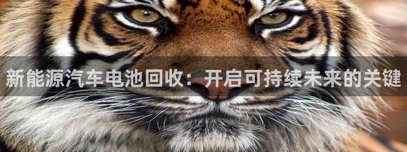 优发国际游戏n