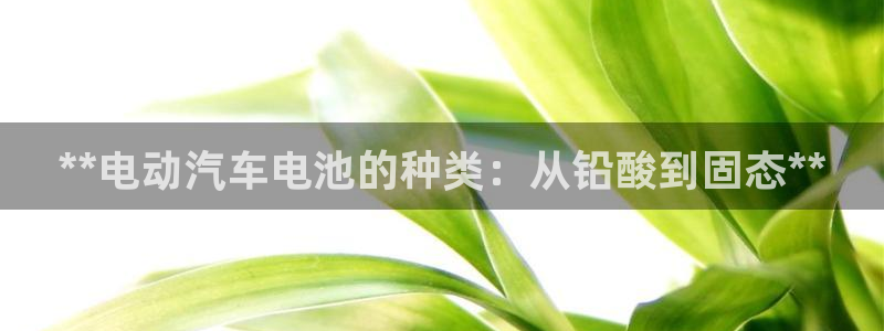 优发国际怎么样