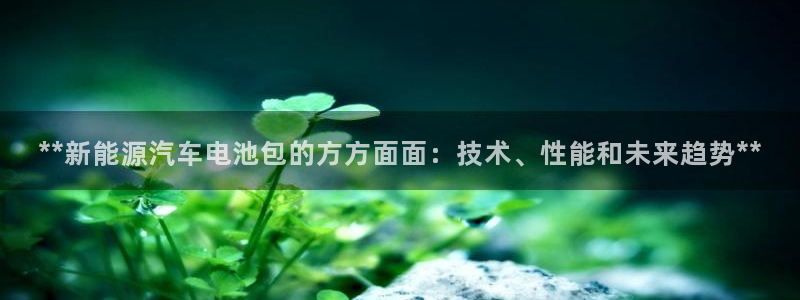 优发国际官方网平台电话