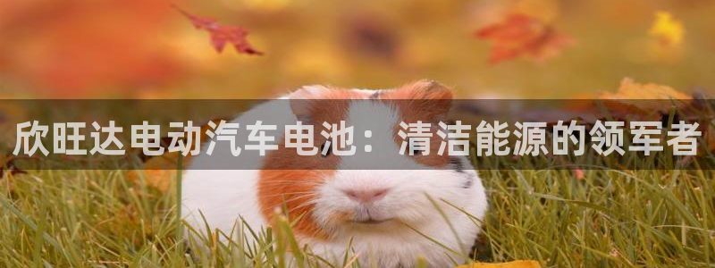 优发国际VIP网址