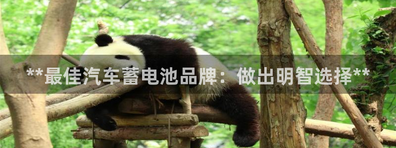 优发国际亚洲平台