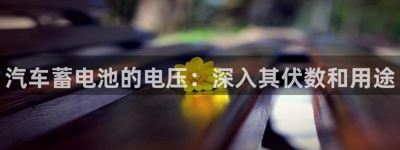 优发国际游戏17岁能玩吗