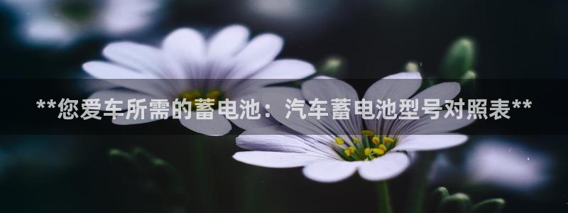 优发国际是什么