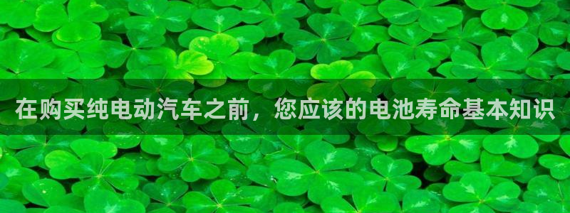 优发国际bob