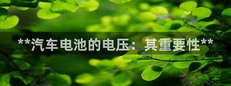 优发国际app登录密码