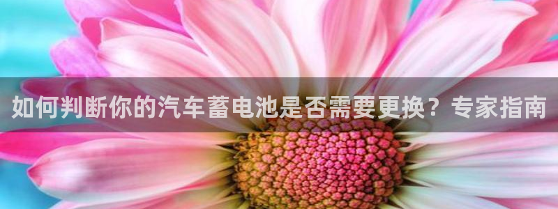 优发国际手机版客户端