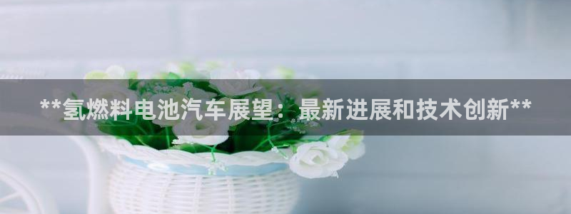 优发国际登录：**氢燃料电池汽车展望：最新进展和技术创新**