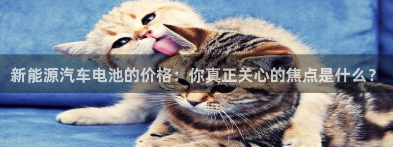 优发国际官网登录：新能源汽车电池的价格：你真正关心的焦点是什么？