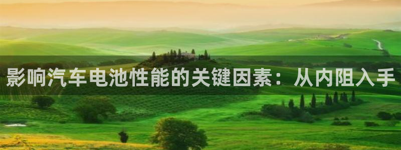 优发国际的官网是：影响汽车电池性能的关键因素：从内阻入手