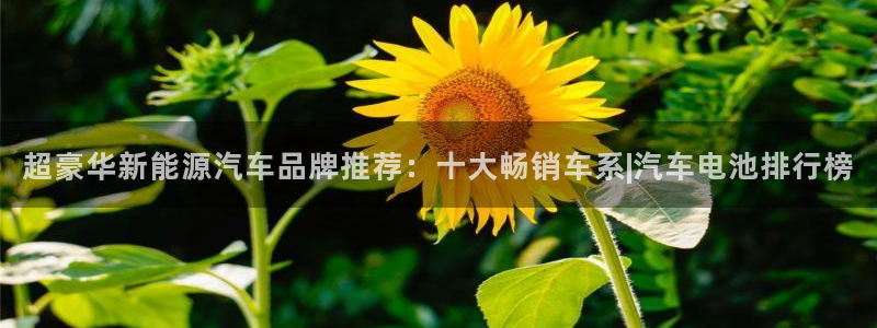 优发国际最新网站下载