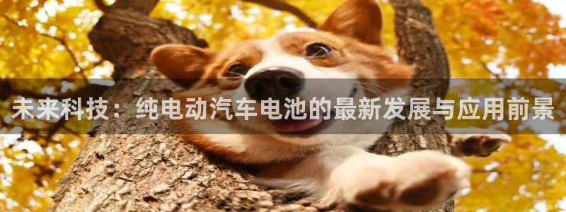 优发娱乐官网app下载