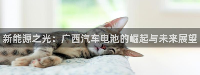 优发国际vip网址：新能源之光：广西汽车电池的崛起与未来展望