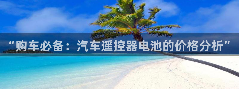 优发国际手机版唯一官网：“购车必备：汽车遥控器电池的价格分析”