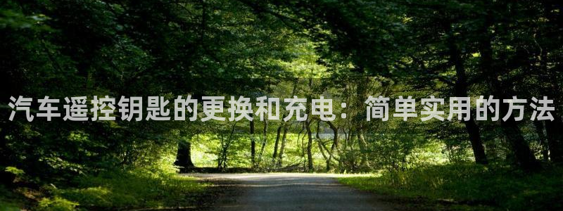 优发国际官网下载app：汽车遥控钥匙的更换和充电：简单实用的方法