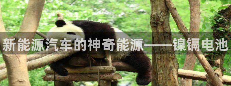 优发国际手机版唯一官网