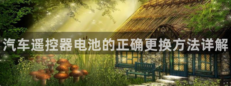 优发国际官网首页入口：汽车遥控器电池的正确更换方法详解