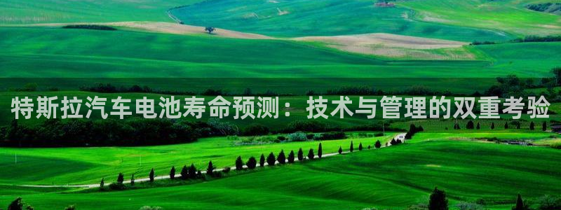 优发国际登录首页怎么设置：特斯拉汽车电池寿命预测：技术与管理的双重考验