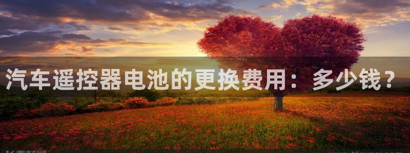 优发国际是大平台吗：汽车遥控器电池的更换费用：多少钱？