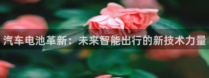 优发国际官网手机版下载安装