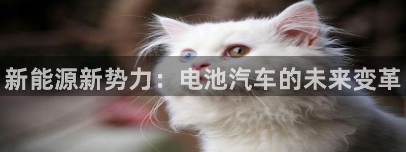 优发国际的官网是正品吗：新能源新势力：电池汽车的未来变革