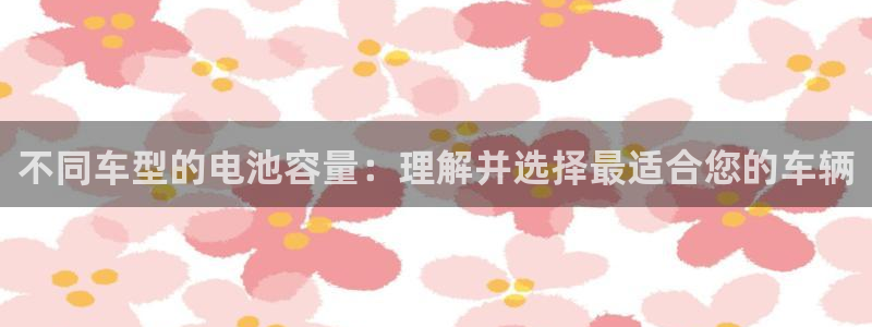 优发国际登录首页：不同车型的电池容量：理解并选择最适合您的车辆