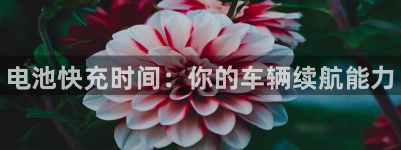 优发国际这个平台怎么样：电池快充时间：你的车辆续航能力