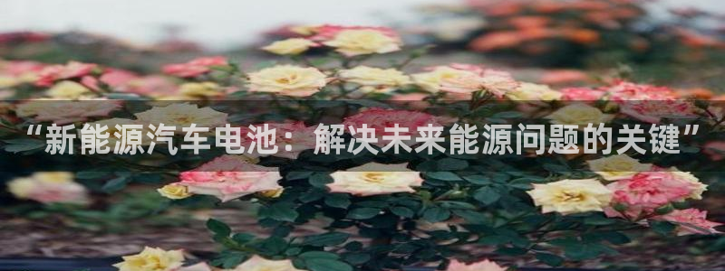 优发国际平台u8是什么公司