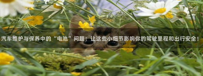 优发国际登录首页官网：汽车维护与保养中的“电池”问题：让这些小细节影响你的驾驶里程和出行安全！