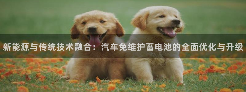 优发国际网官网17w80是什么
