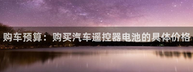 优发国际官网手机版入口：购车预算：购买汽车遥控器电池的具体价格