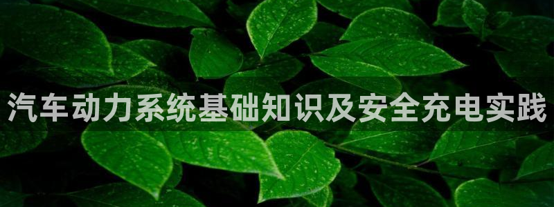 优发国际官网手机版入口