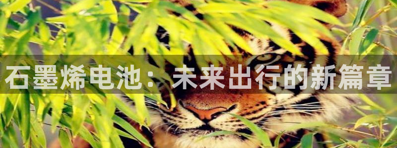 优发国际可以玩吗