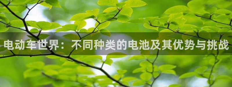 优发国际手机app下载安装官网