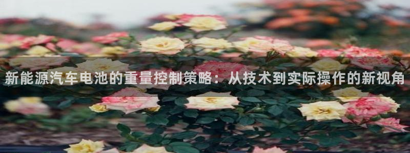 优发国际youfa966：新能源汽车电池的重量控制策略：从技术到实际操作的新视角