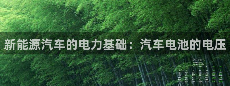 优发国际手机app下载安装官网：新能源汽车的电力基础：汽车电池的电压