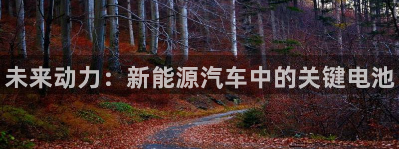 优发国际官网官方网址：未来动力：新能源汽车中的关键电池