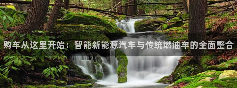 优发国际手机版下载：购车从这里开始：智能新能源汽车与传统燃油车的全面整合