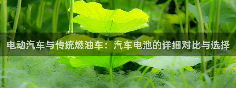 优发国际下载安装