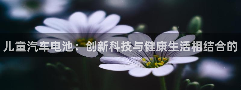 优发国际的官网是什么软件