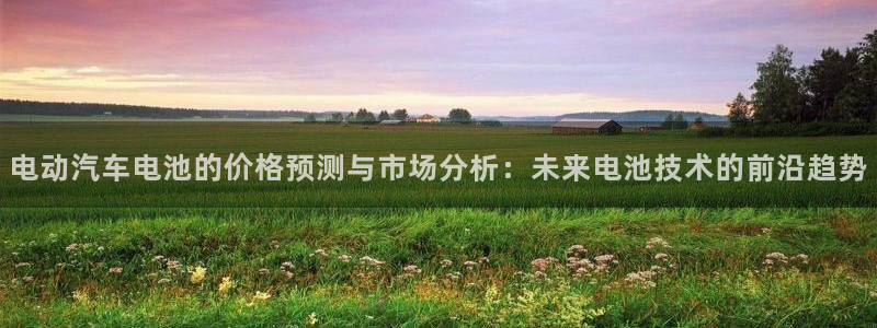 优发国际官方网手机版下载苹果：电动汽车电池的价格预测与市场分析：未来电池技术的前沿趋势