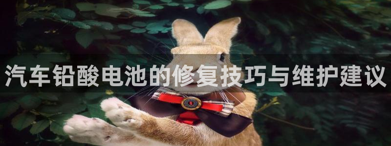 优发国际网官网17q8：汽车铅酸电池的修复技巧与维护建议