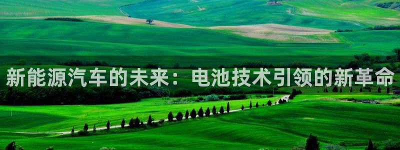 优发国际集团股份有限公司