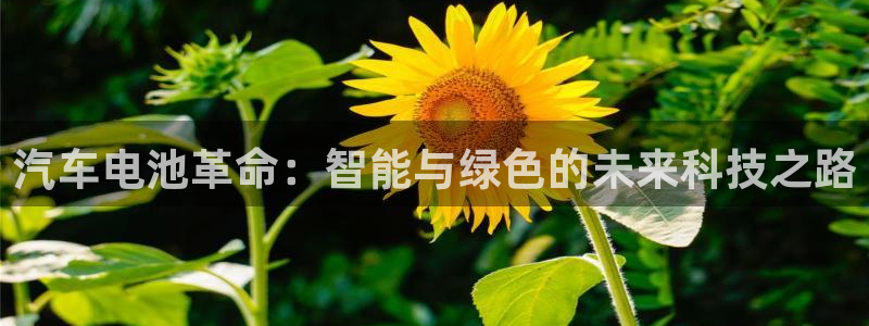 优发国际注册平台