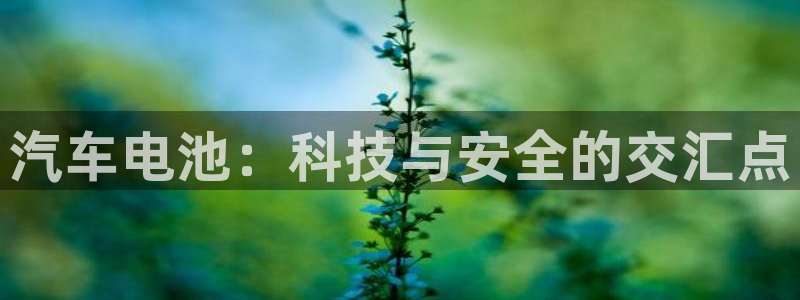 优发国际登录首页官网